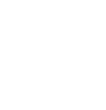 icon1