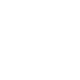 icon1