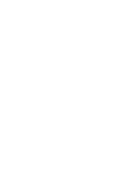icon1